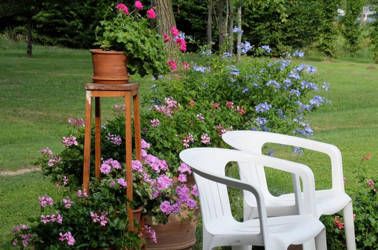 Il Selese Bed and Breakfast Monticello Conte Otto Exteriör bild